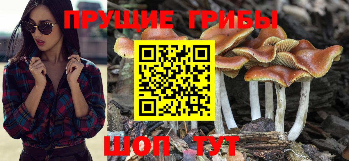 Псилоцибиновые грибы прущие грибы  Вход с VPN  купить наркоту  Псилоцибиновые грибы GOLDEN TEACHER  Лысьва 
